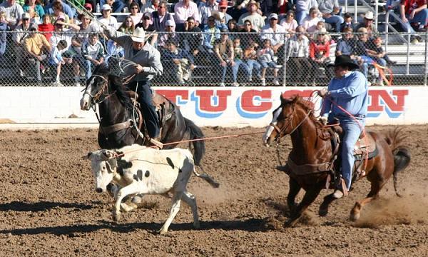 Team Roping in the Tucson Rodeo