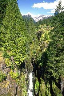 Washington landscape